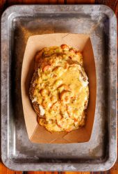 Everybellies_2025-133