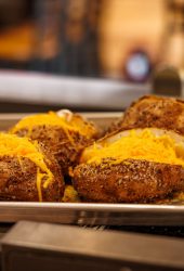 Everybellies_2025-143