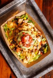 Everybellies_2025-184