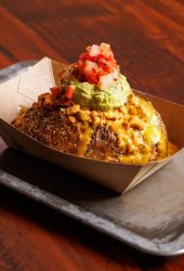 Everybellies_2025-44