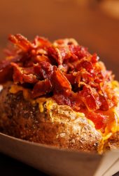 Everybellies_2025-61